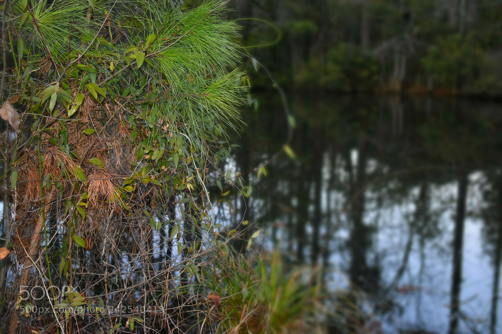 Nikon D3400 sample photo. Untitled photography