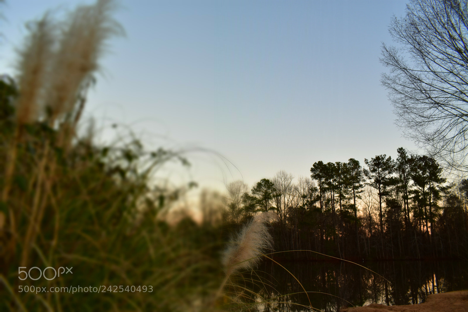 Nikon D3400 sample photo. Untitled photography