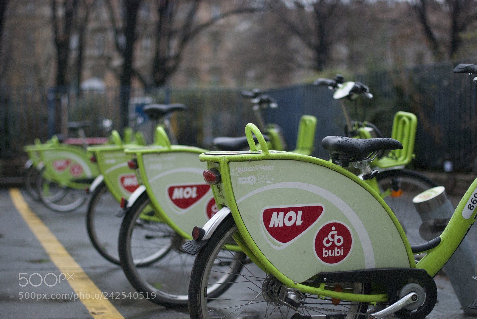 Nikon D80 sample photo. Bike photography