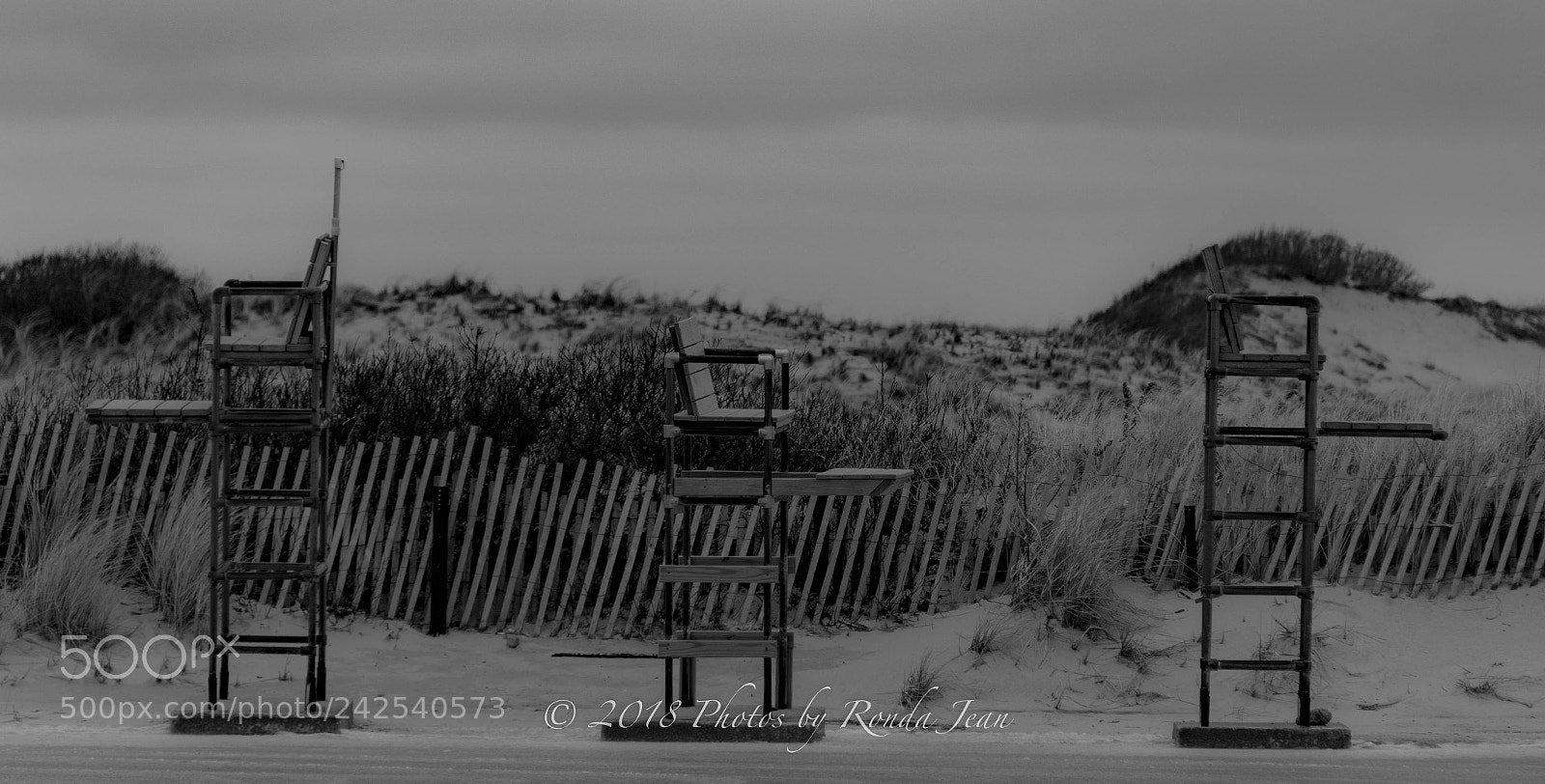 Nikon D500 sample photo. Untitled photography