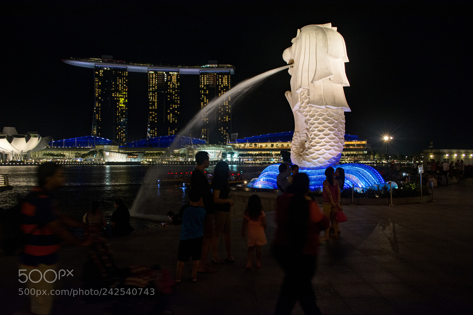 Nikon D7100 sample photo. Fused photography