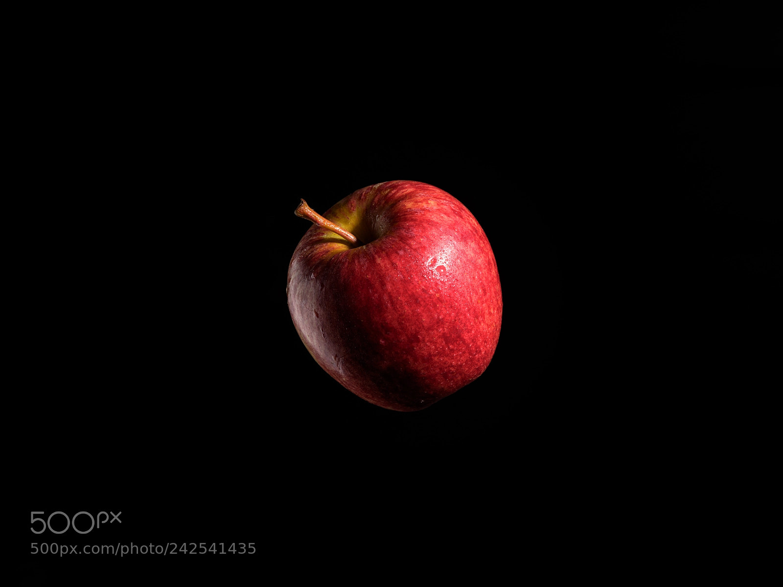 Fujifilm GFX 50S sample photo. Adam's apple photography