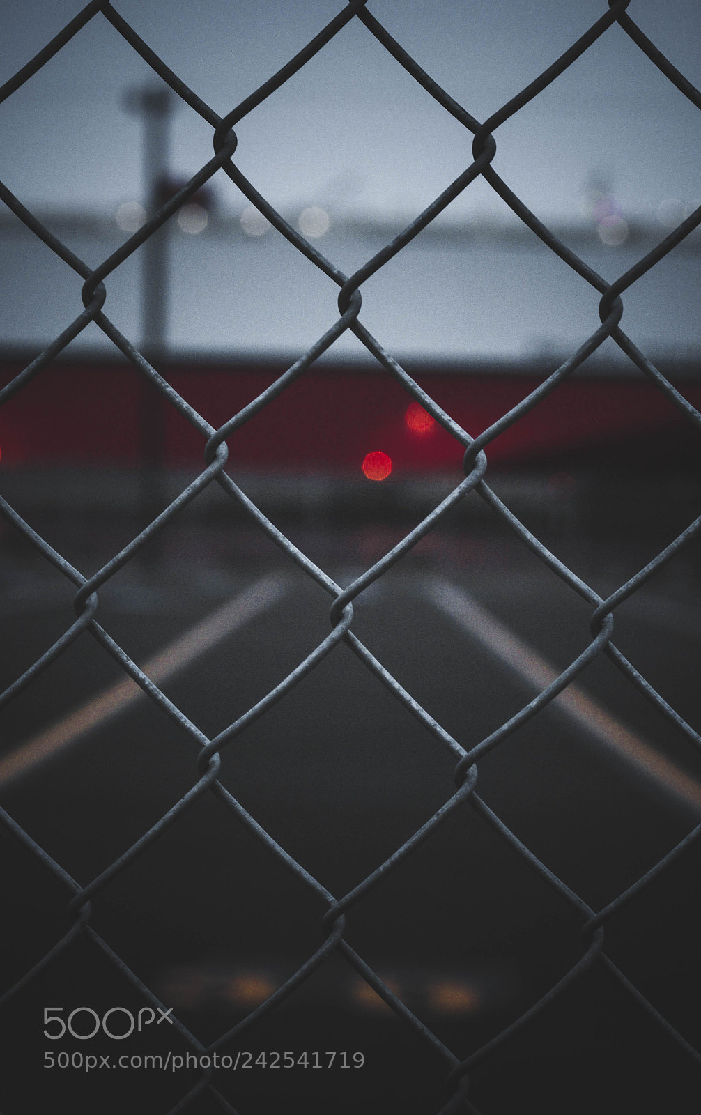Canon EOS 60D sample photo. Caged in photography