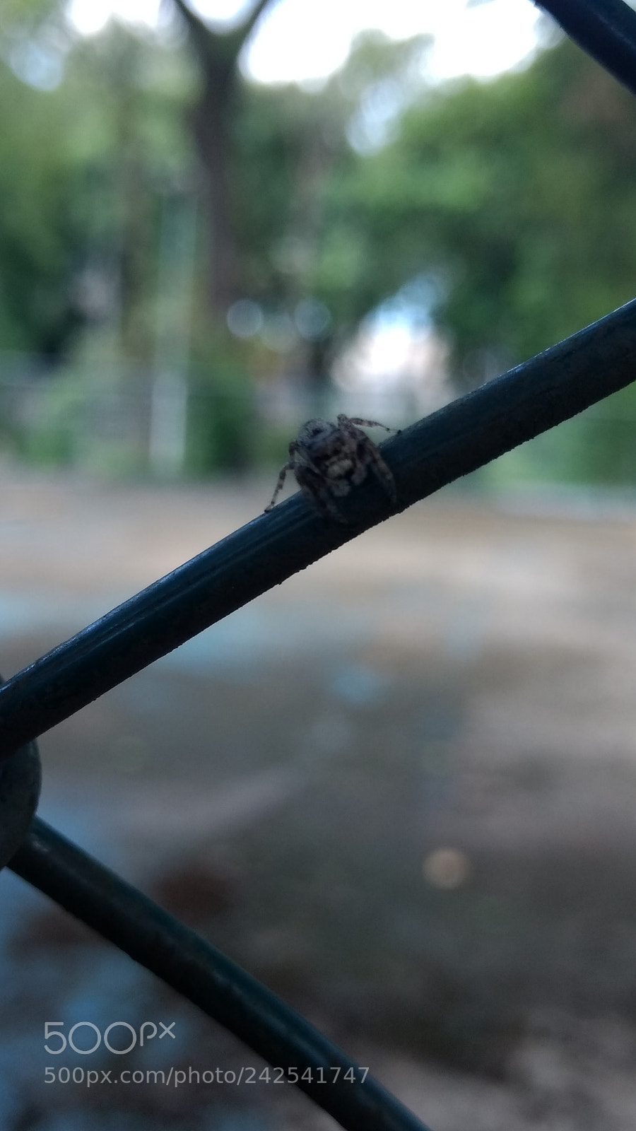 Motorola Moto G (4) sample photo. Untitled photography
