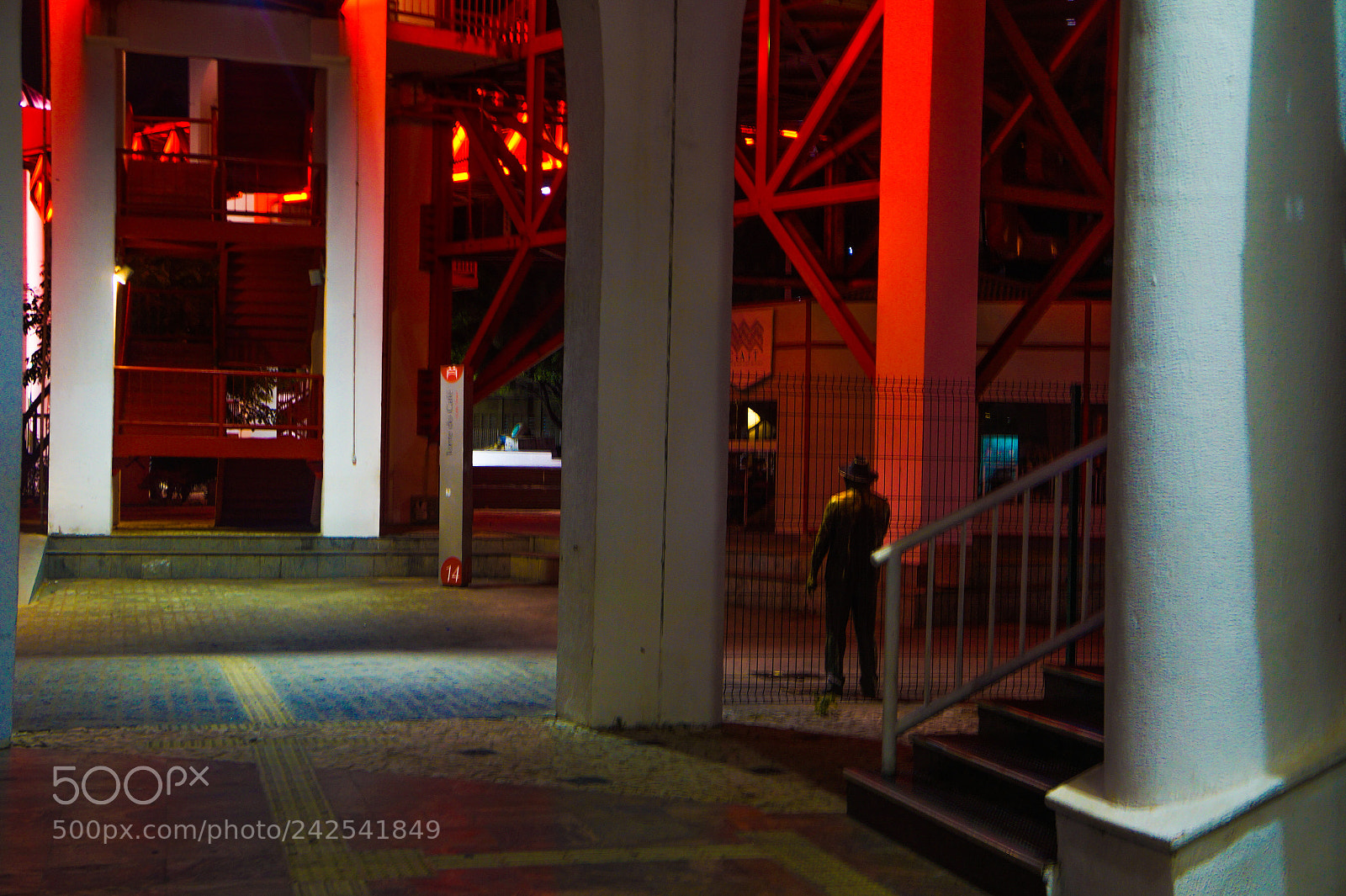 Sony Alpha a3000 sample photo. Untitled photography