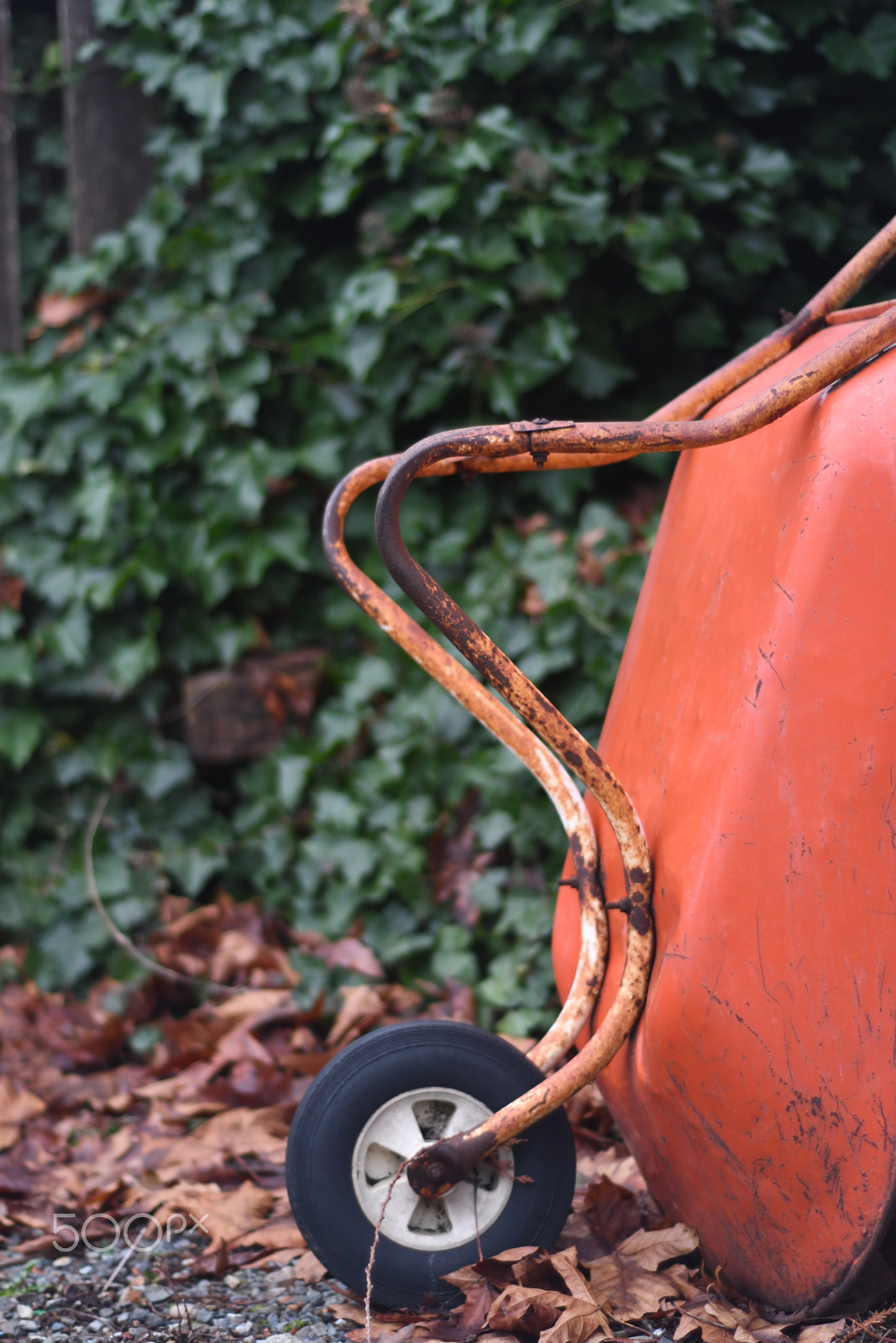 Nikon D7500 + Nikon AF Nikkor 50mm F1.8D sample photo. Wheel barrel, on side photography