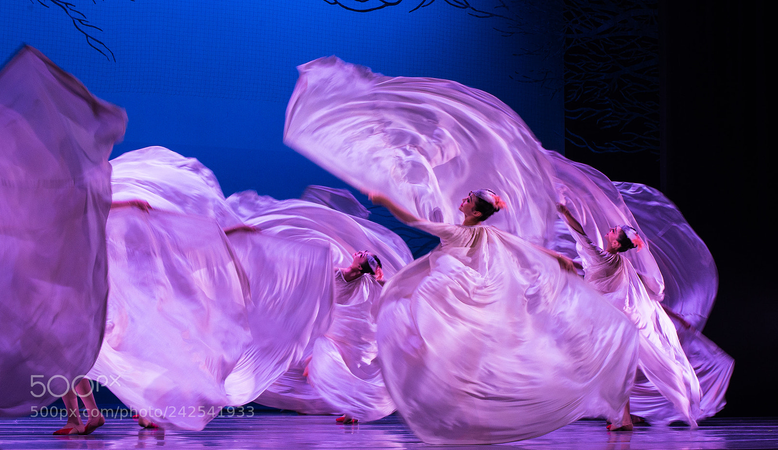 Nikon D600 sample photo. Dancer photography