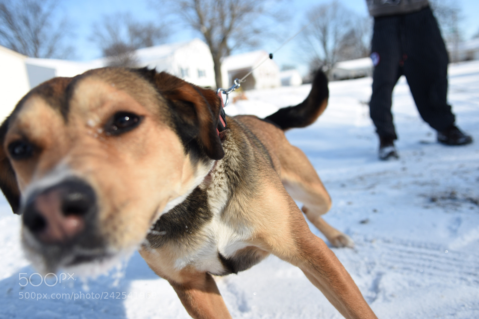 Nikon D7200 sample photo. Untitled photography