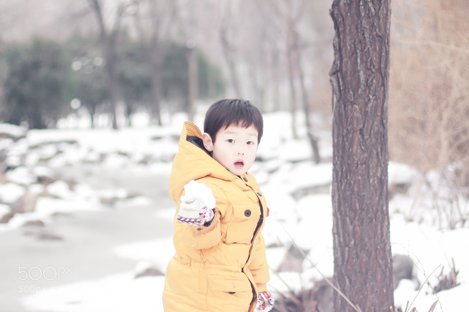 Canon EOS 650D (EOS Rebel T4i / EOS Kiss X6i) sample photo. Untitled photography
