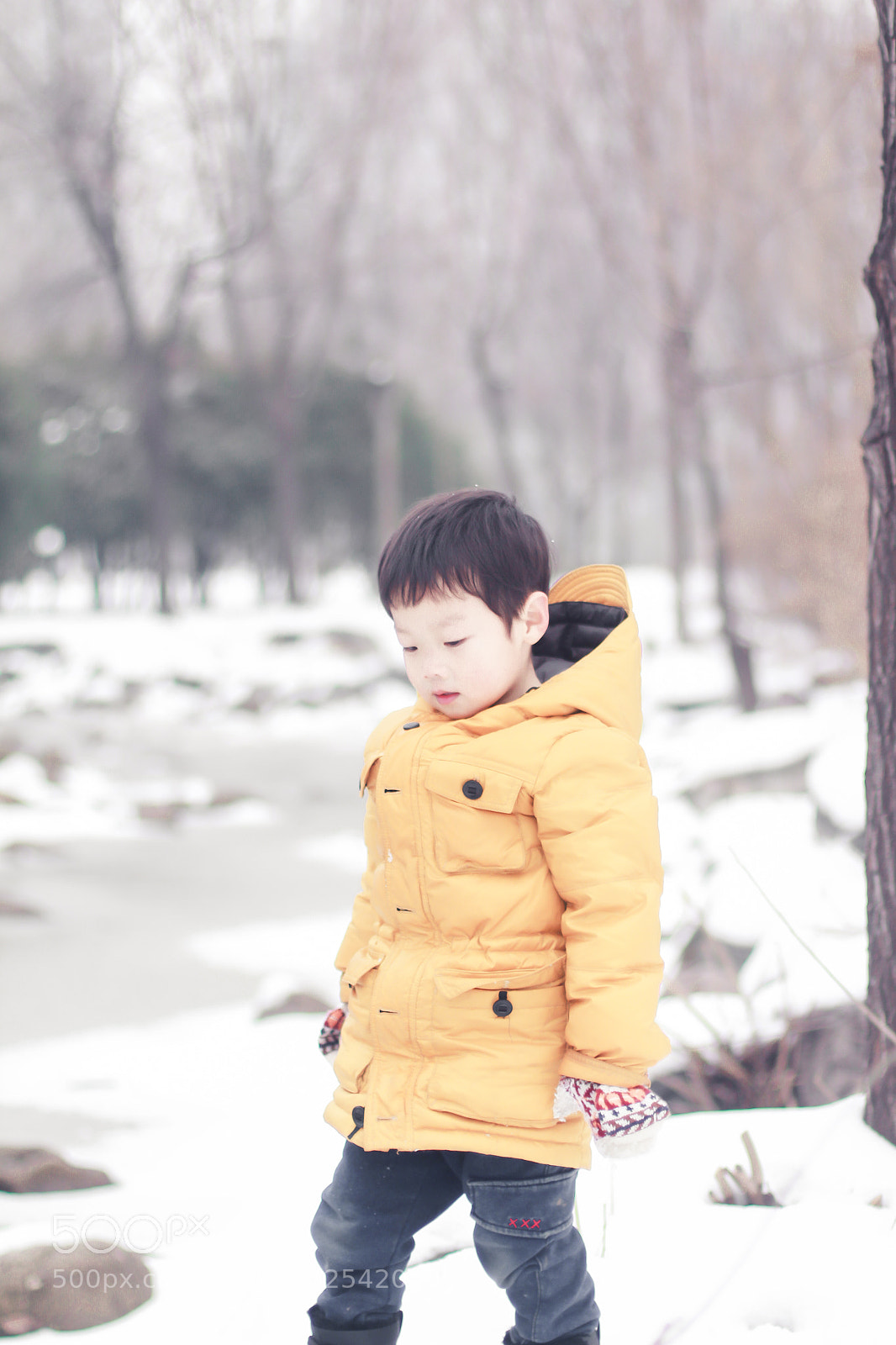 Canon EOS 650D (EOS Rebel T4i / EOS Kiss X6i) sample photo. Untitled photography