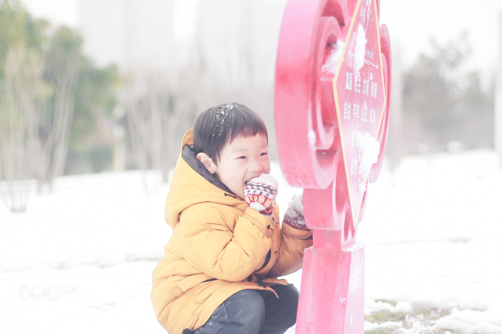 Canon EOS 650D (EOS Rebel T4i / EOS Kiss X6i) sample photo. Untitled photography