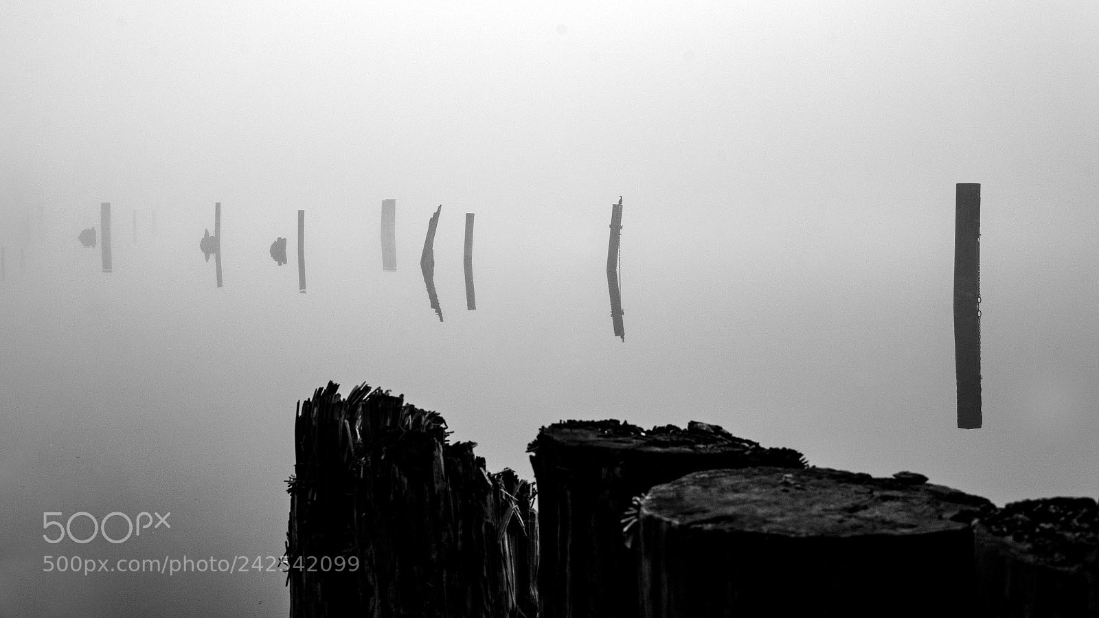 Sony a7 II sample photo. Fraser fog photography