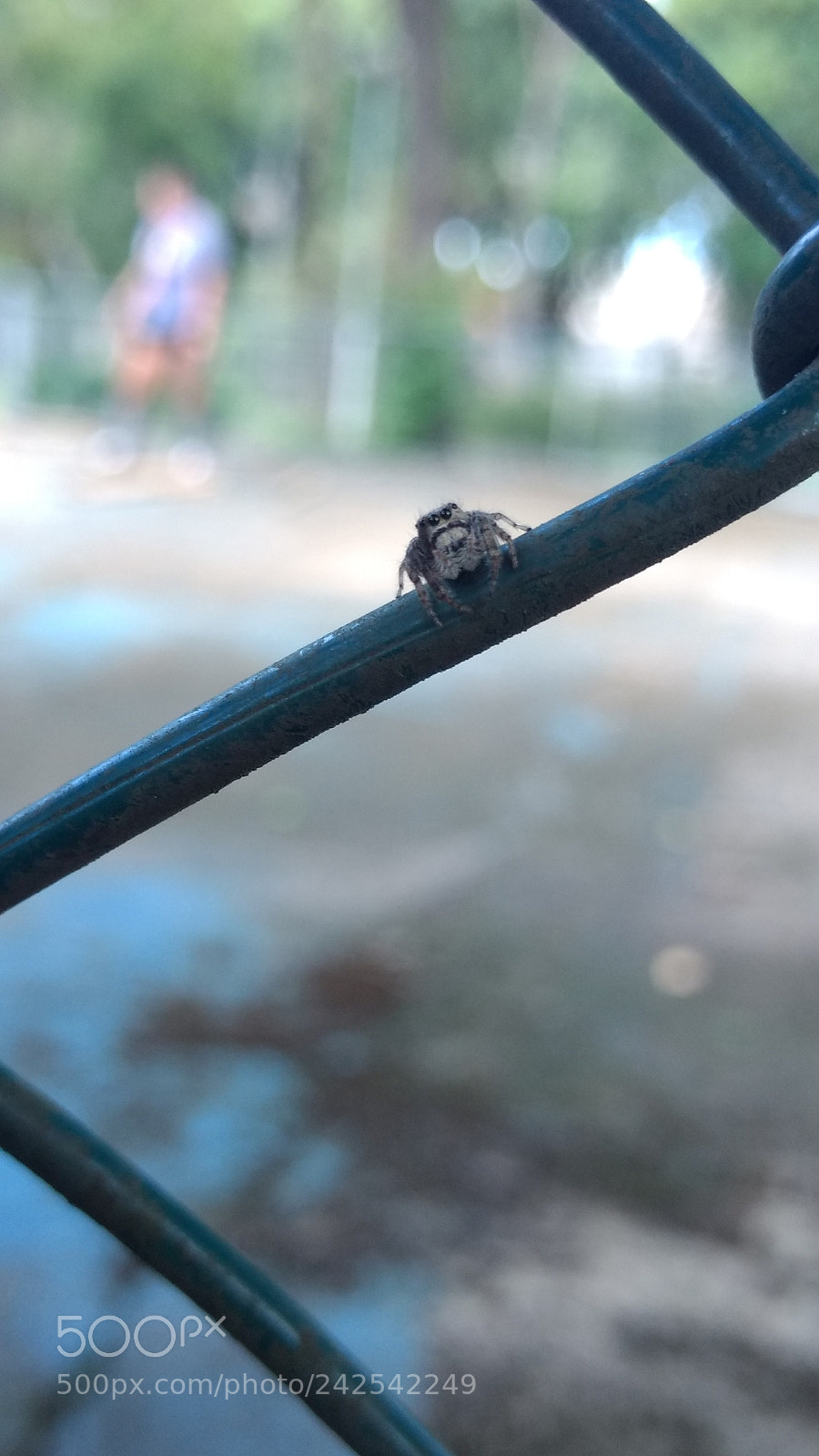 Motorola Moto G (4) sample photo. Look into my eyes photography