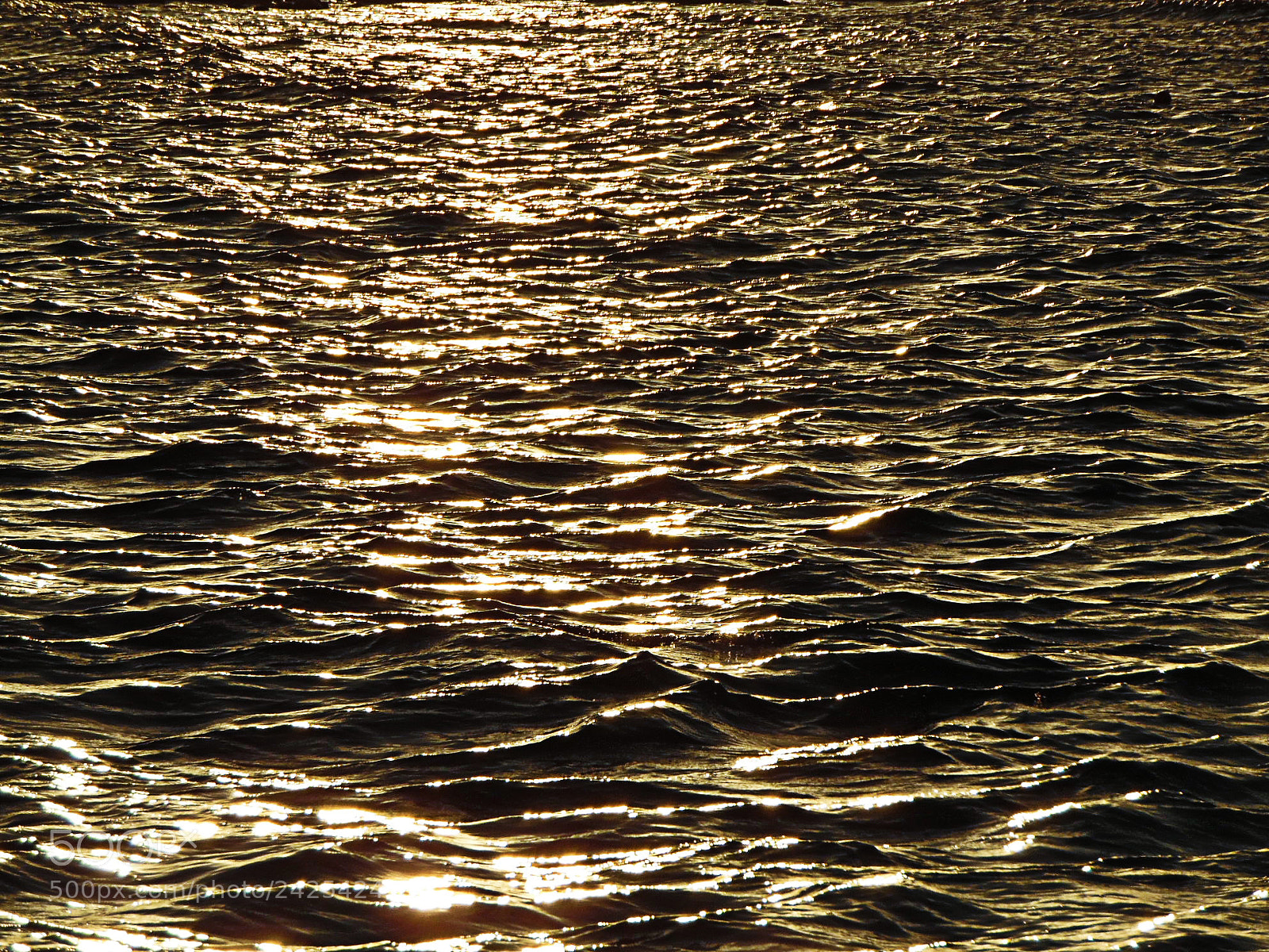 Samsung WB1100F/WB1101F/WB1102F sample photo. El 2do arrecife m photography