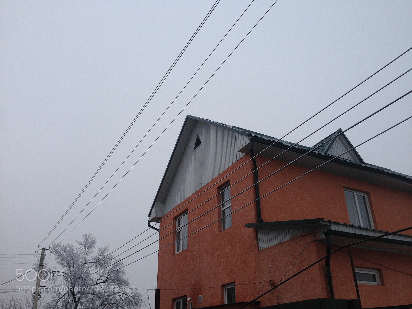 Apple iPhone 5 sample photo. #sweethome photography