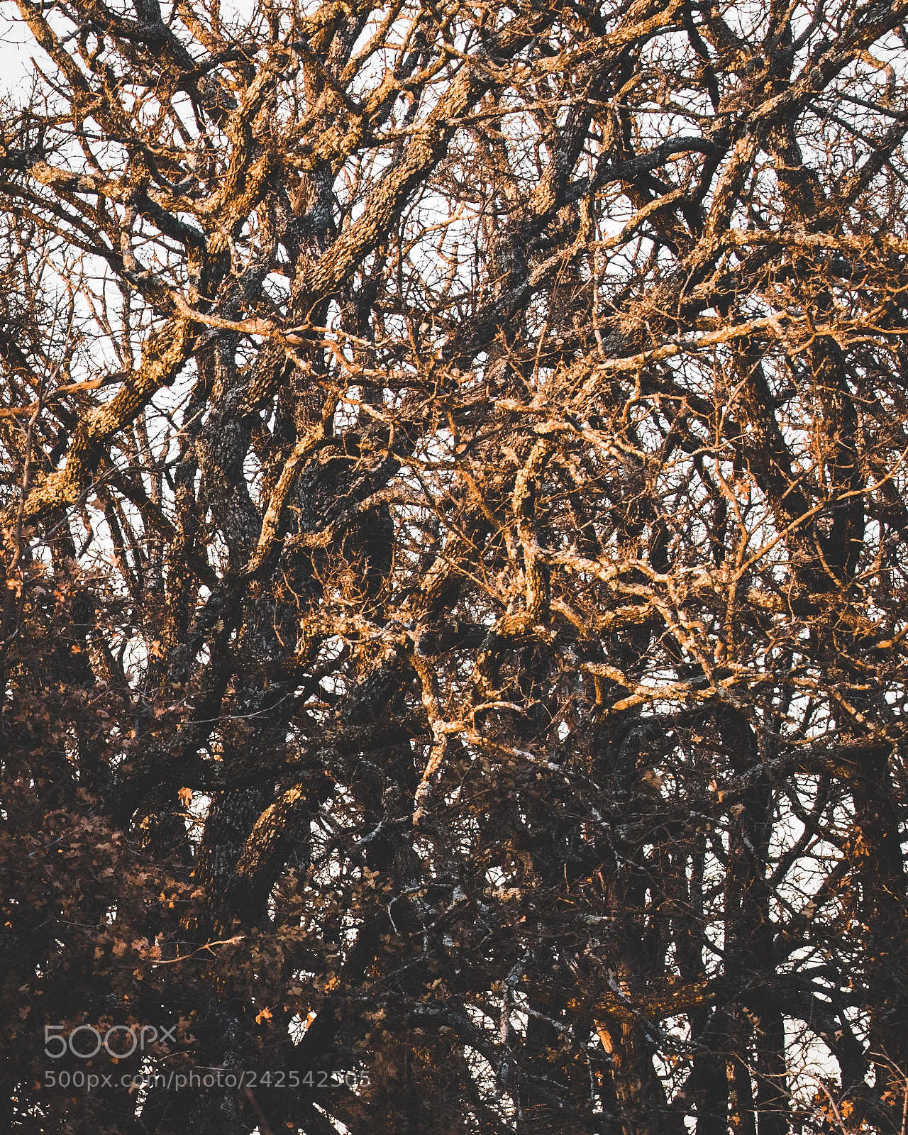 Nikon D5600 sample photo. 52 weeks | week two | landscape photography