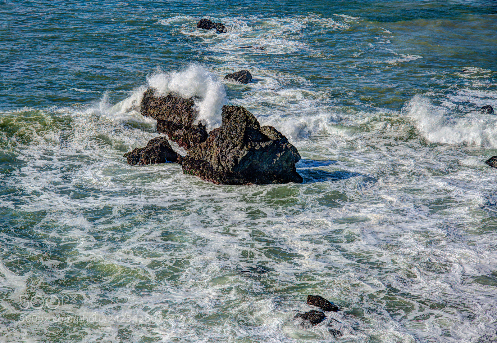 Nikon D850 sample photo. California coast photography