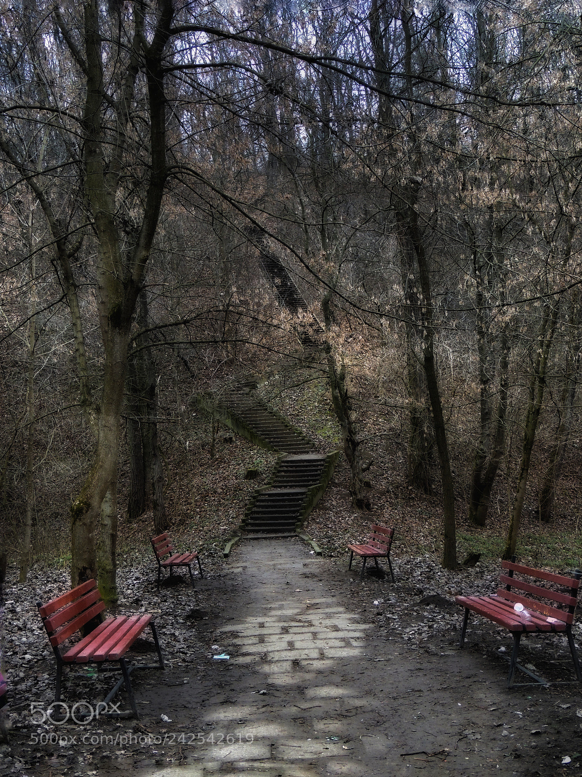 Nikon Coolpix P510 sample photo. Forest silence. photography