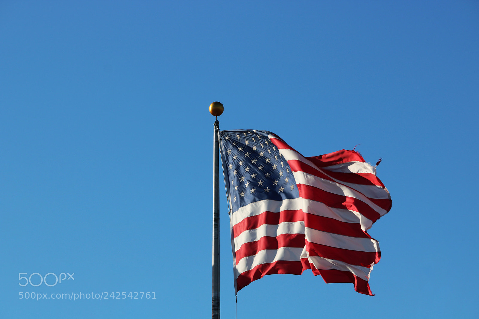 Canon EOS 750D (EOS Rebel T6i / EOS Kiss X8i) sample photo. Usa flag wind photography