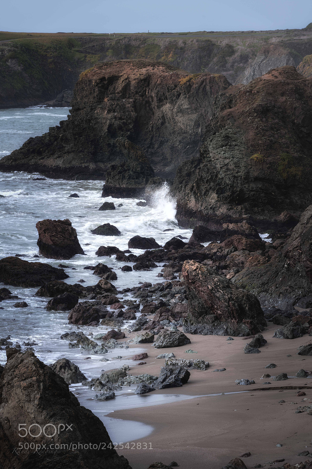 Nikon D850 sample photo. Coastal delight photography