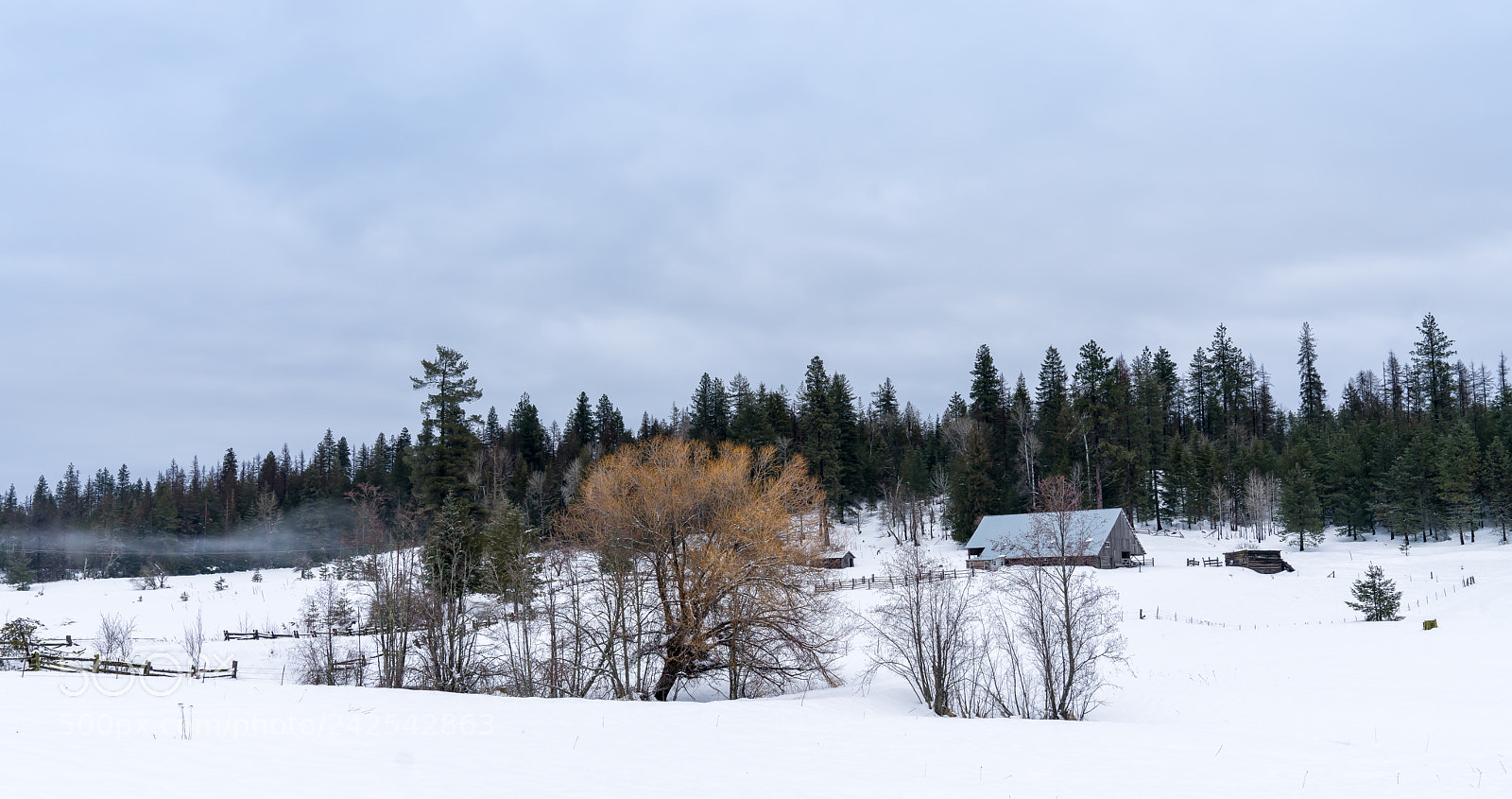 Sony a7R III sample photo. Snowy farm photography