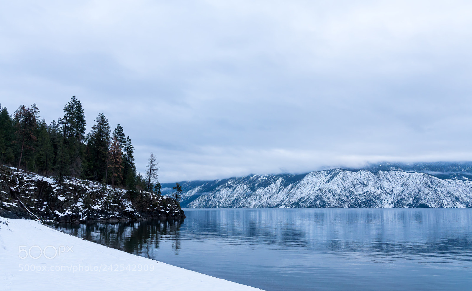Sony a7R III sample photo. Dsc photography