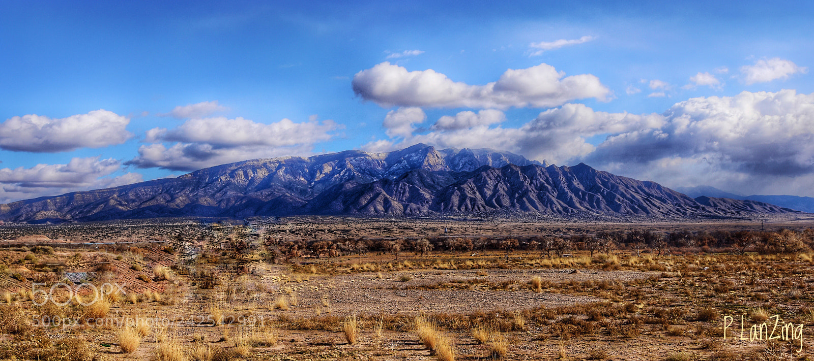 Nikon D810 sample photo. Sandia photography
