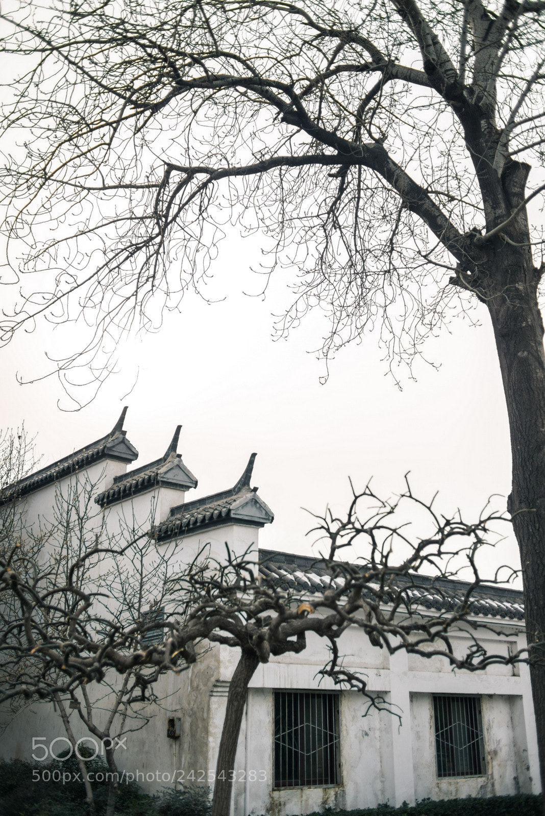 Nikon D800E sample photo. Untitled photography