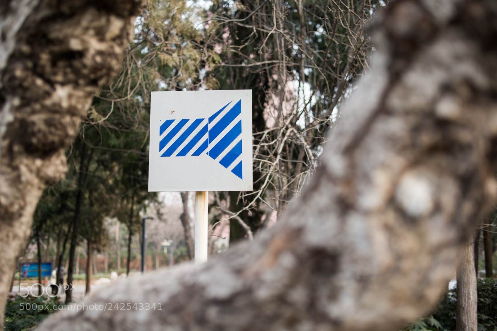 Nikon D800E sample photo. Untitled photography