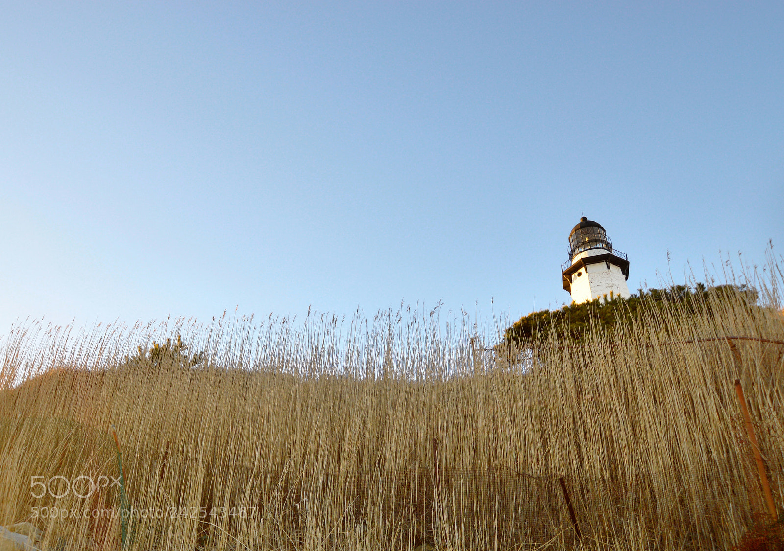 Nikon D3200 sample photo. The lighthouse from behind. photography