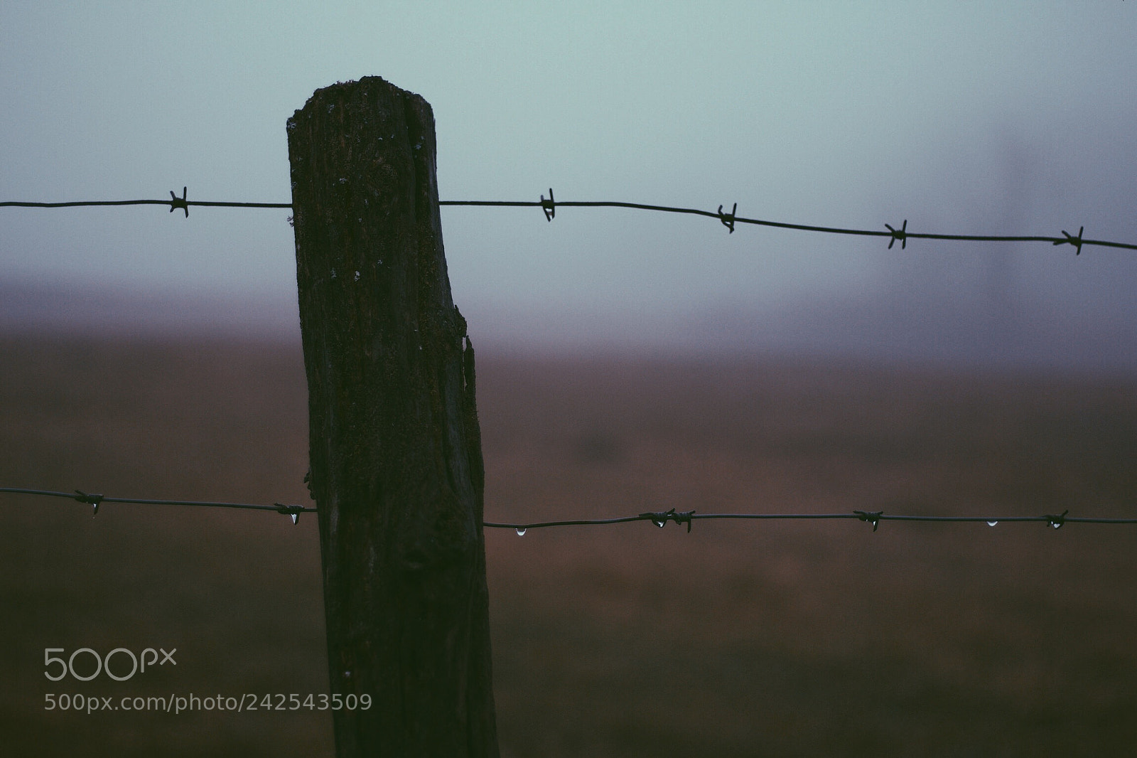 Canon EOS 700D (EOS Rebel T5i / EOS Kiss X7i) sample photo. Darkness gate photography