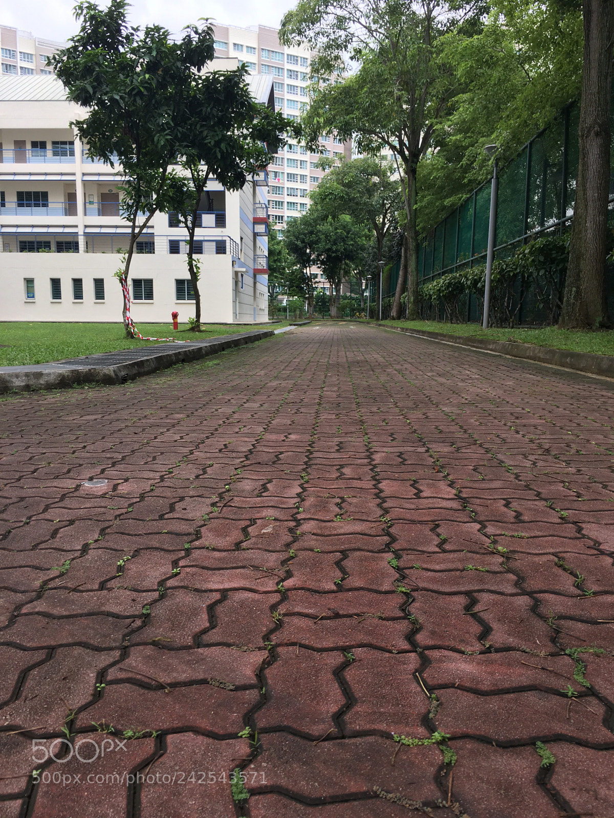 Apple iPhone 6s sample photo. Untitled photography