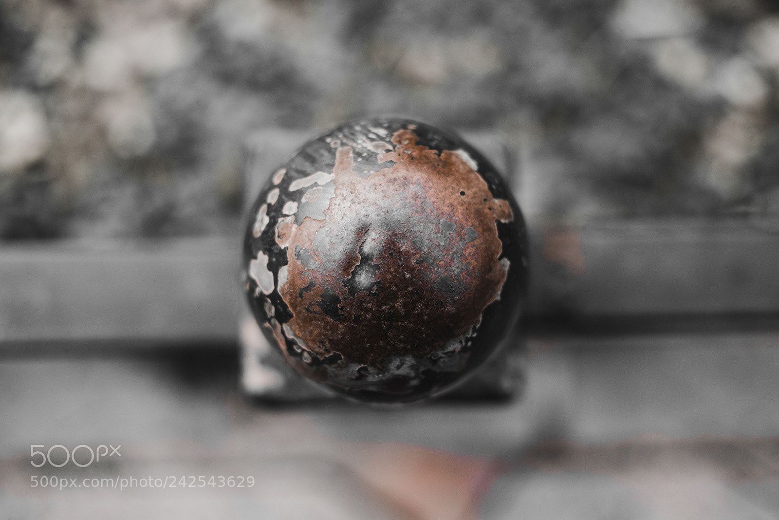 Nikon D800E sample photo. Untitled photography