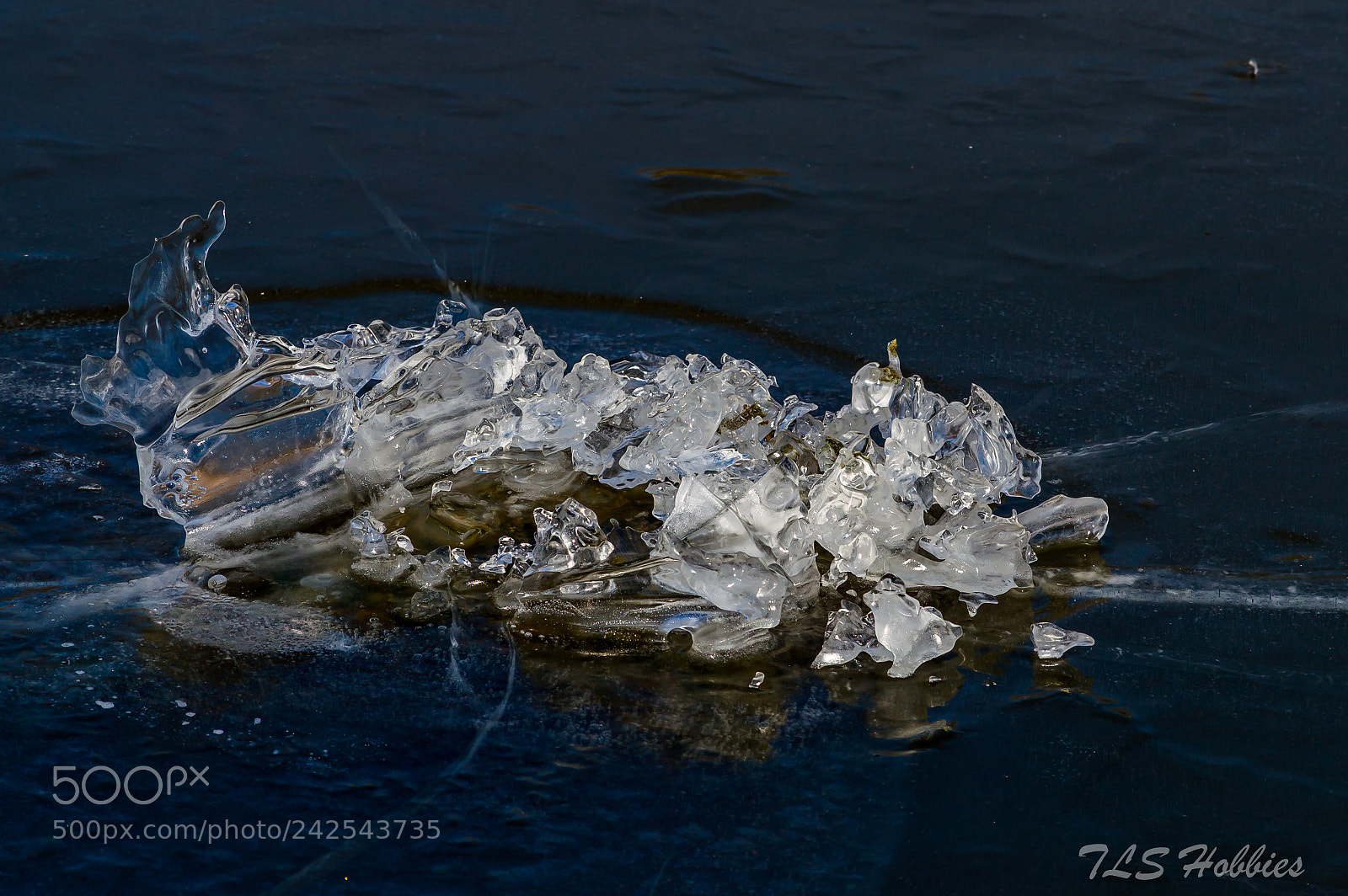 Nikon D3200 sample photo. "icebaby" photography