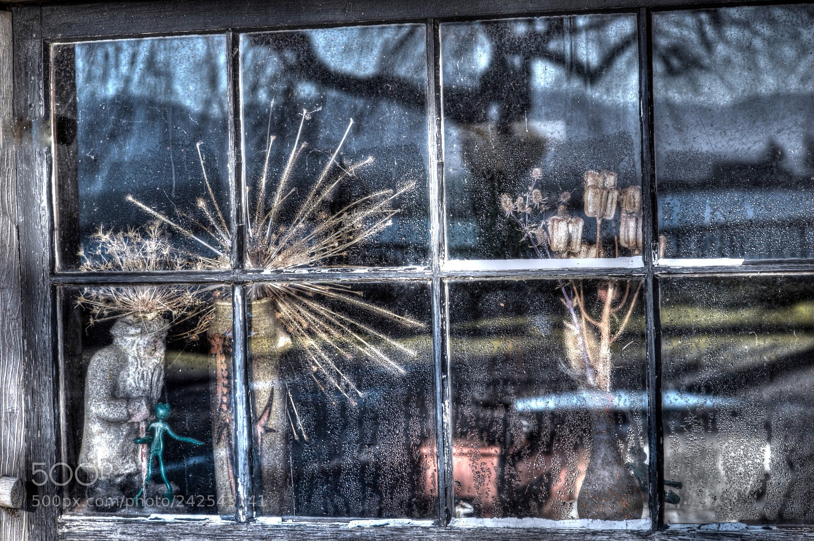 Nikon D3200 sample photo. Untitled photography