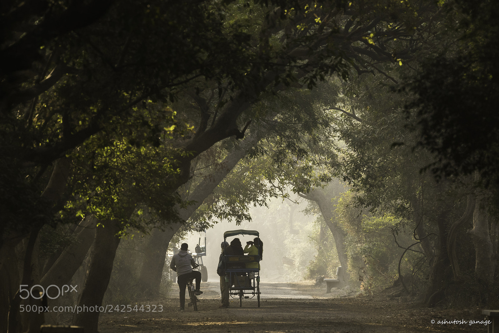 Canon EOS 7D Mark II sample photo. Misty morning..... photography