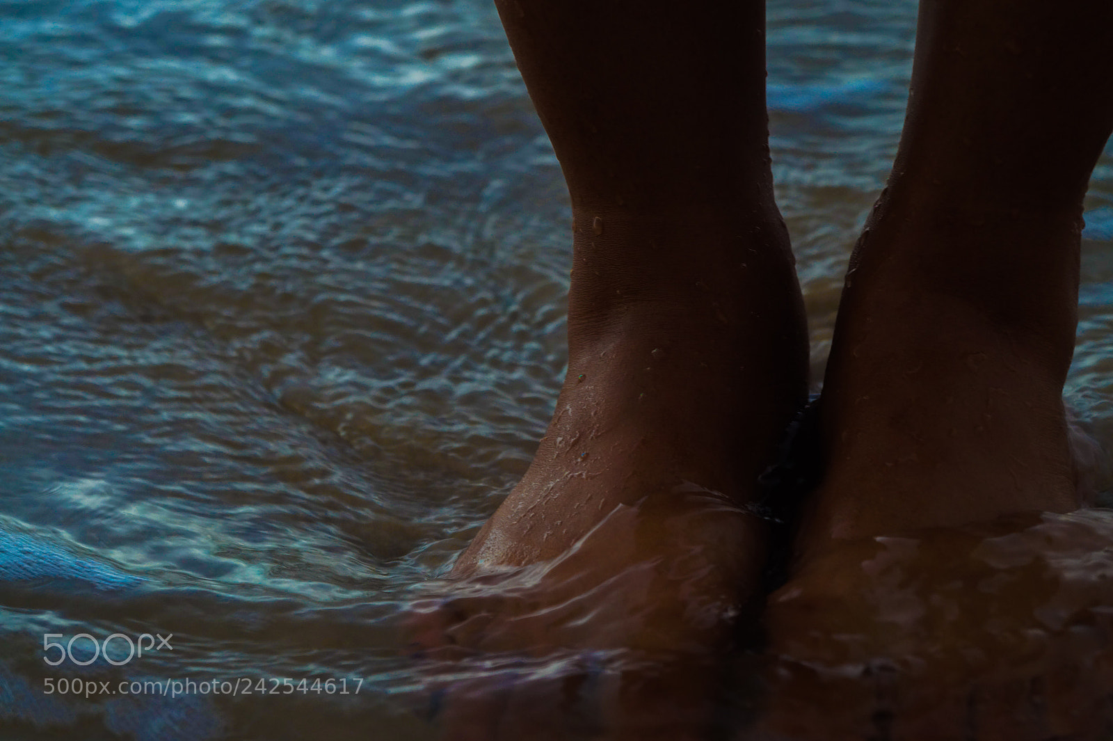 Sony Alpha a3000 sample photo. Untitled photography