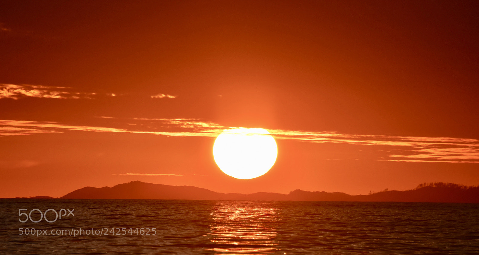 Nikon D5500 sample photo. Fire at sunset photography