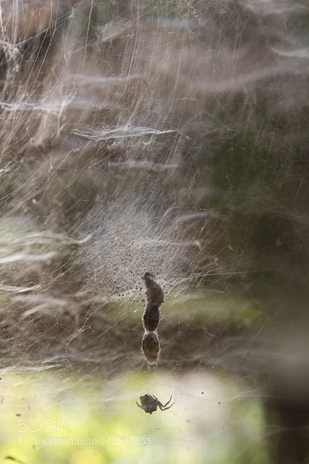 Canon EOS 7D sample photo. Costa rica photography