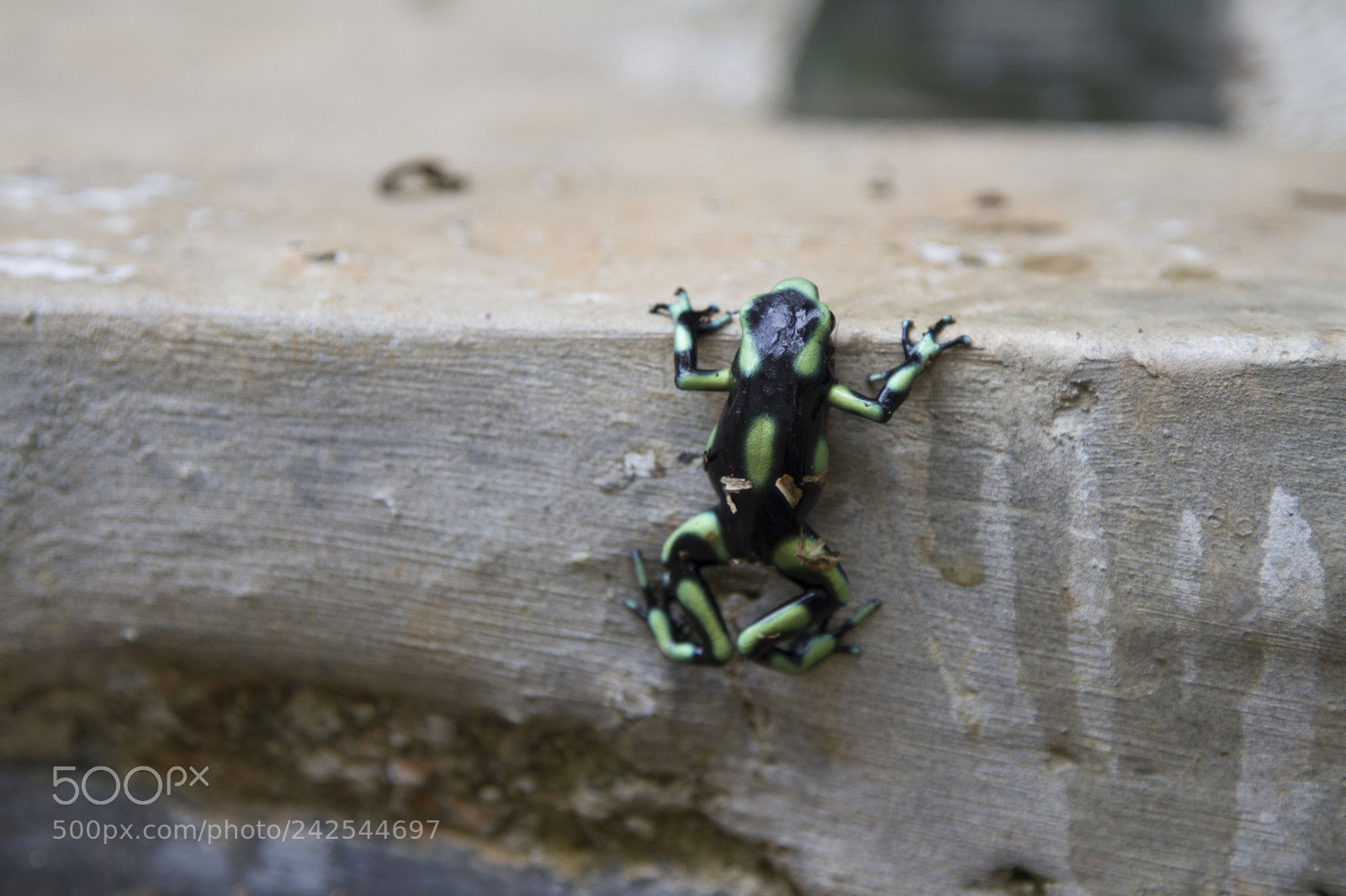 Canon EOS 7D sample photo. Costa rica photography