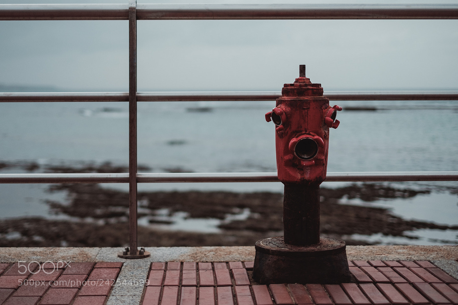 Fujifilm X-T10 sample photo. Hydrant photography