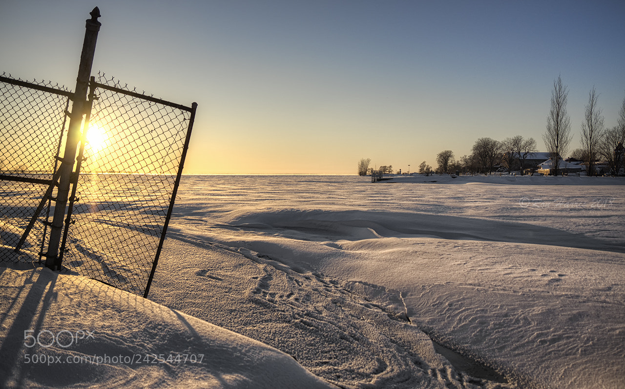 Sony ILCA-77M2 sample photo. Frozen cove photography