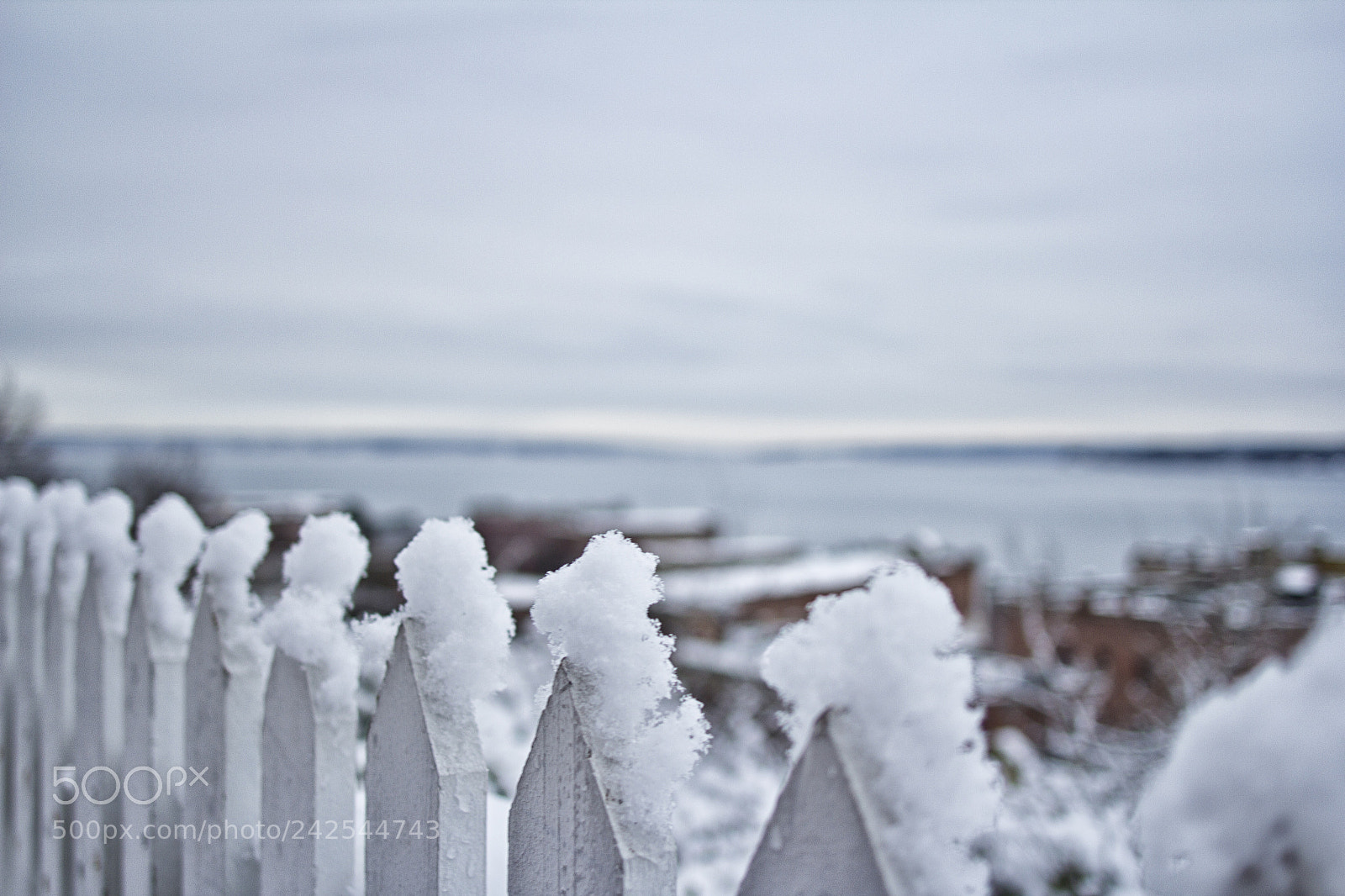 Canon EOS 60D sample photo. Snowy port townsend photography