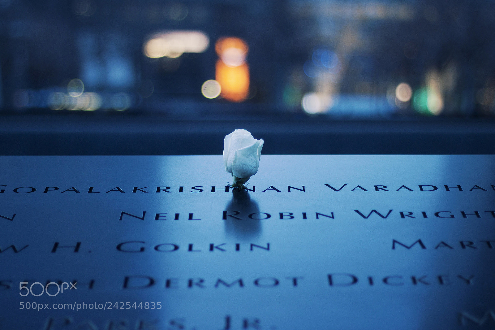 Canon EOS 500D (EOS Rebel T1i / EOS Kiss X3) sample photo. New york's fallen angels photography