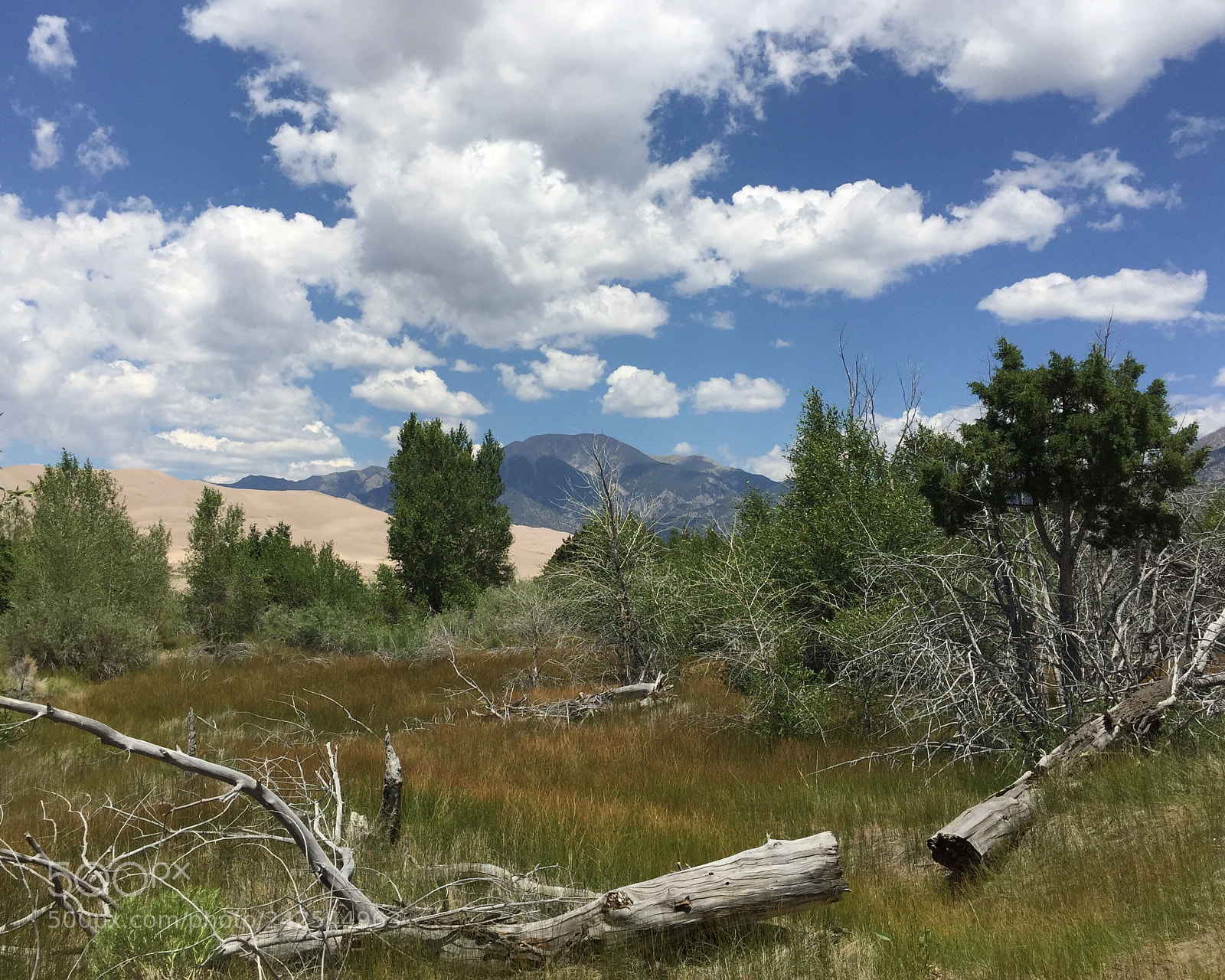 Apple iPhone 6 Plus sample photo. Great sand dunes, colorado photography