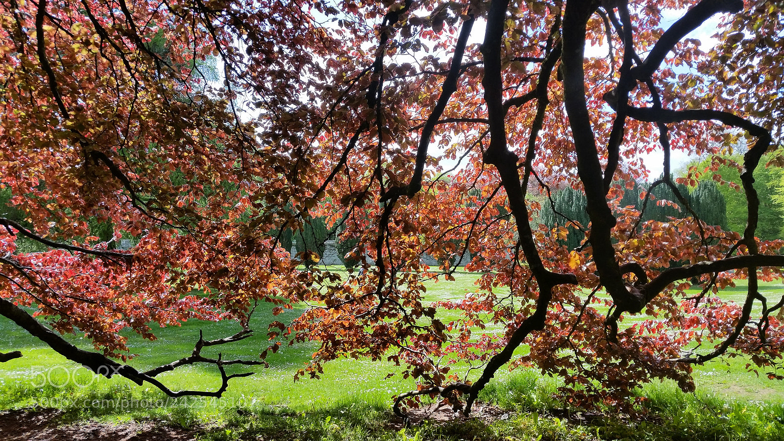 Samsung Galaxy S5 sample photo. 20150516_105558.jpg photography