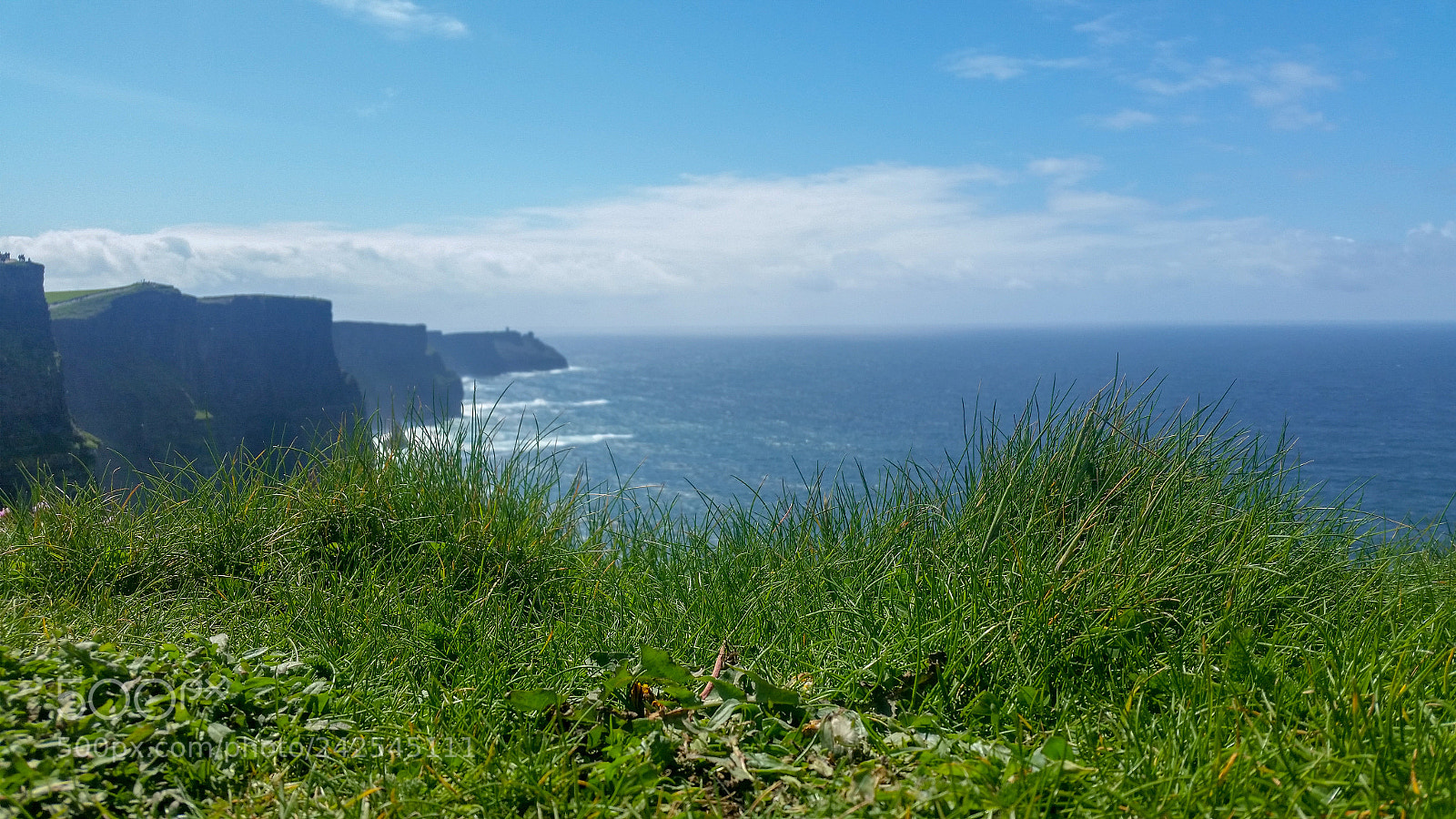 Samsung Galaxy S5 sample photo. Grass on moher photography