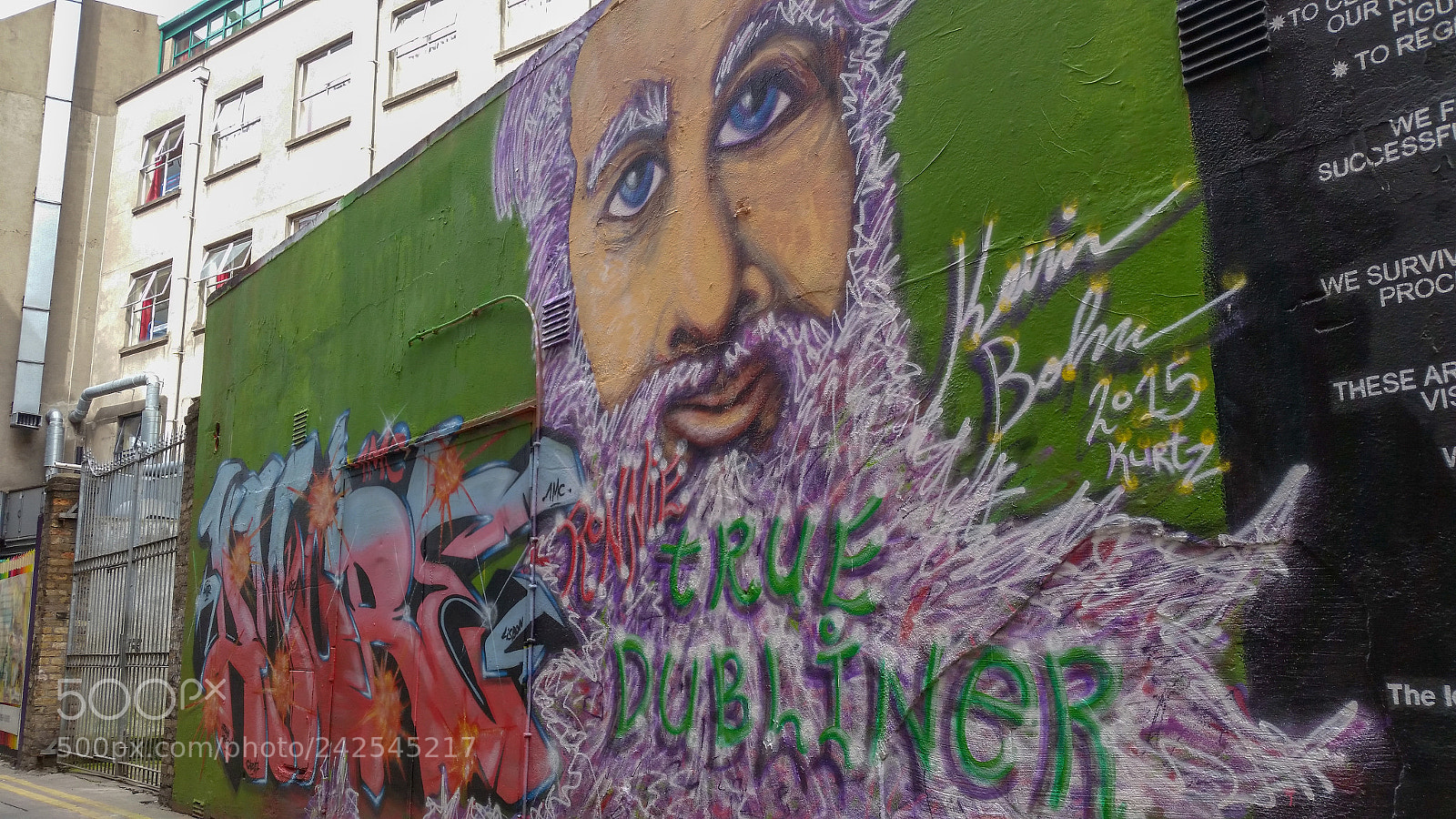 Samsung Galaxy S5 sample photo. "true dubliner" photography