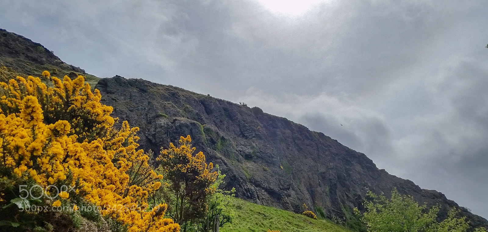Samsung Galaxy S5 sample photo. Looking upwards photography