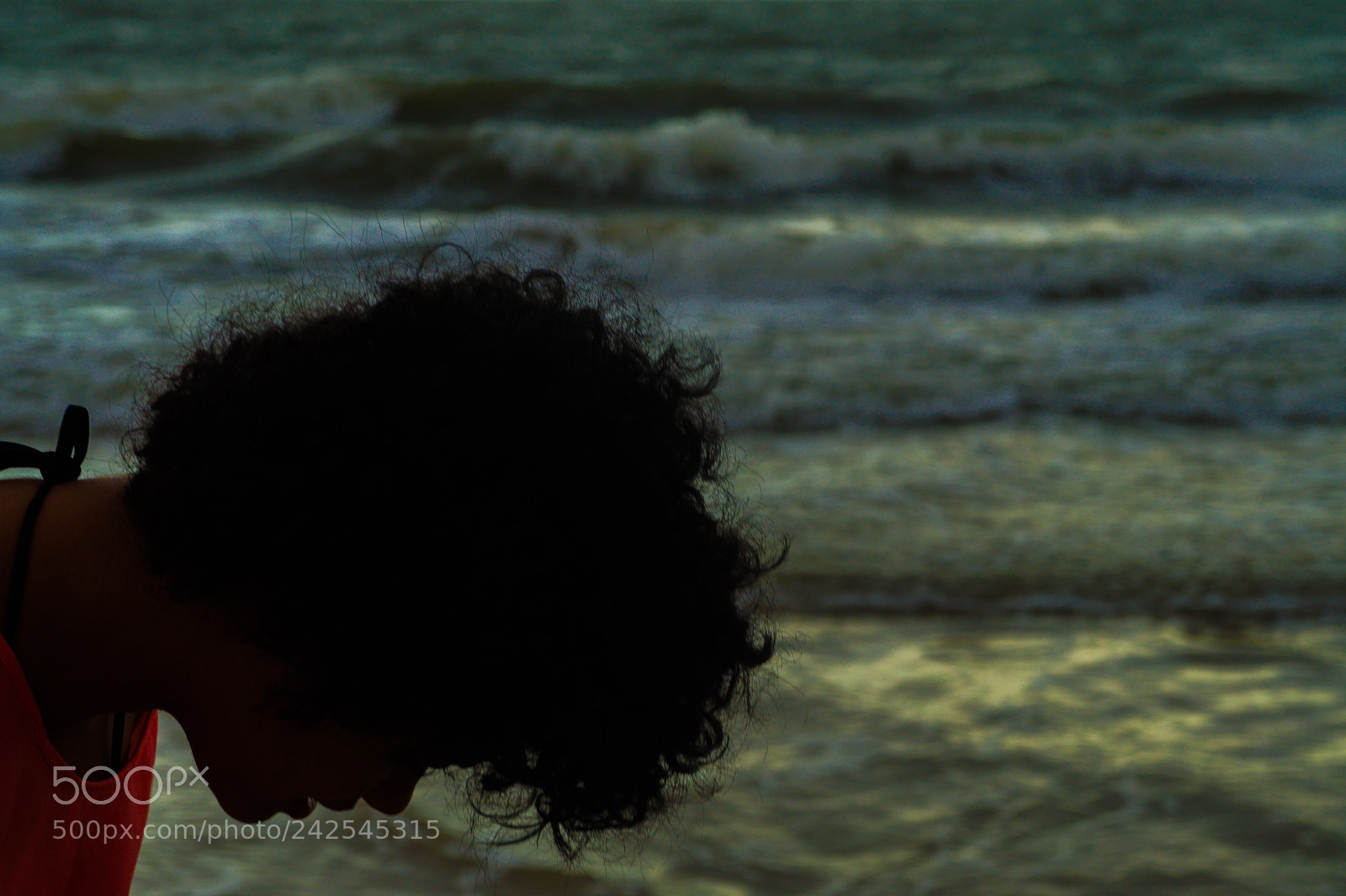 Sony Alpha a3000 sample photo. Untitled photography